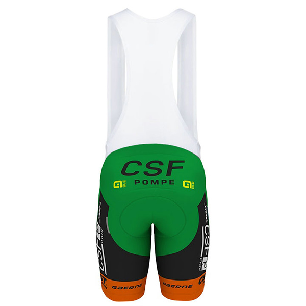 2017 Maglia Bardiani CSF bianco e verde - Clicca l'immagine per chiudere